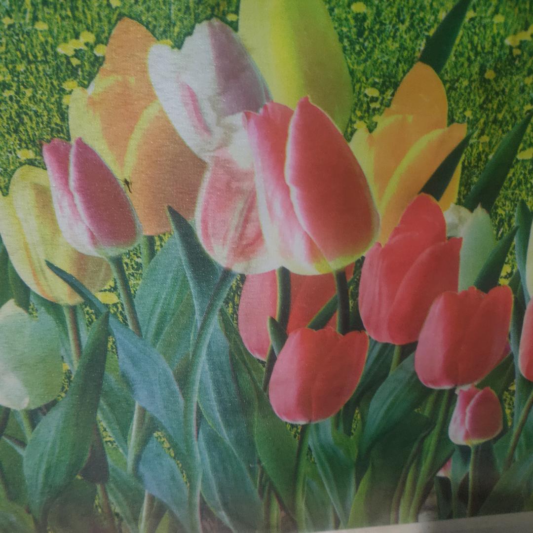 快乐每一天  老板