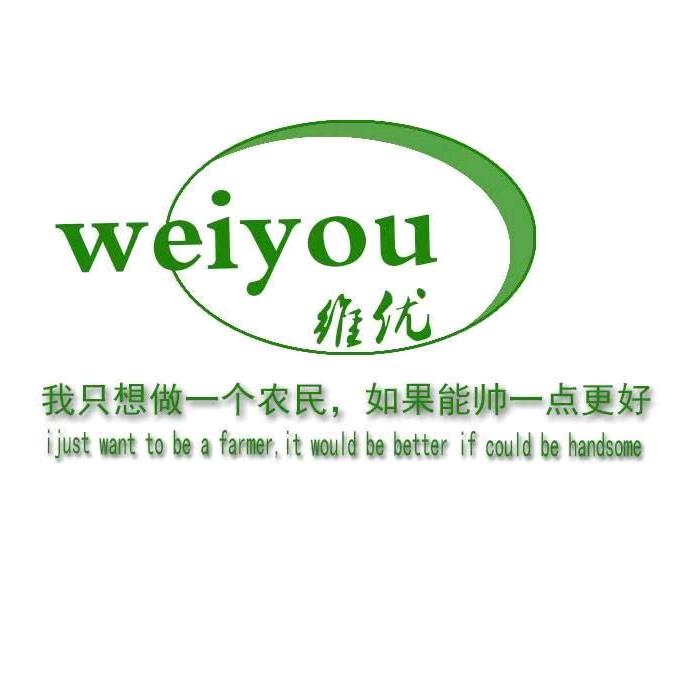 维优之家