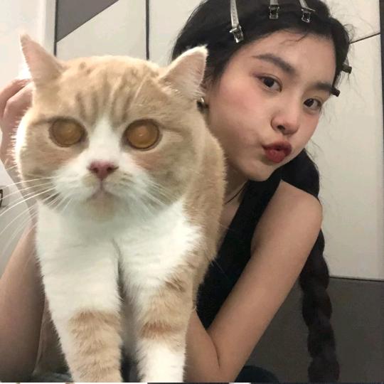 糕冷小美～