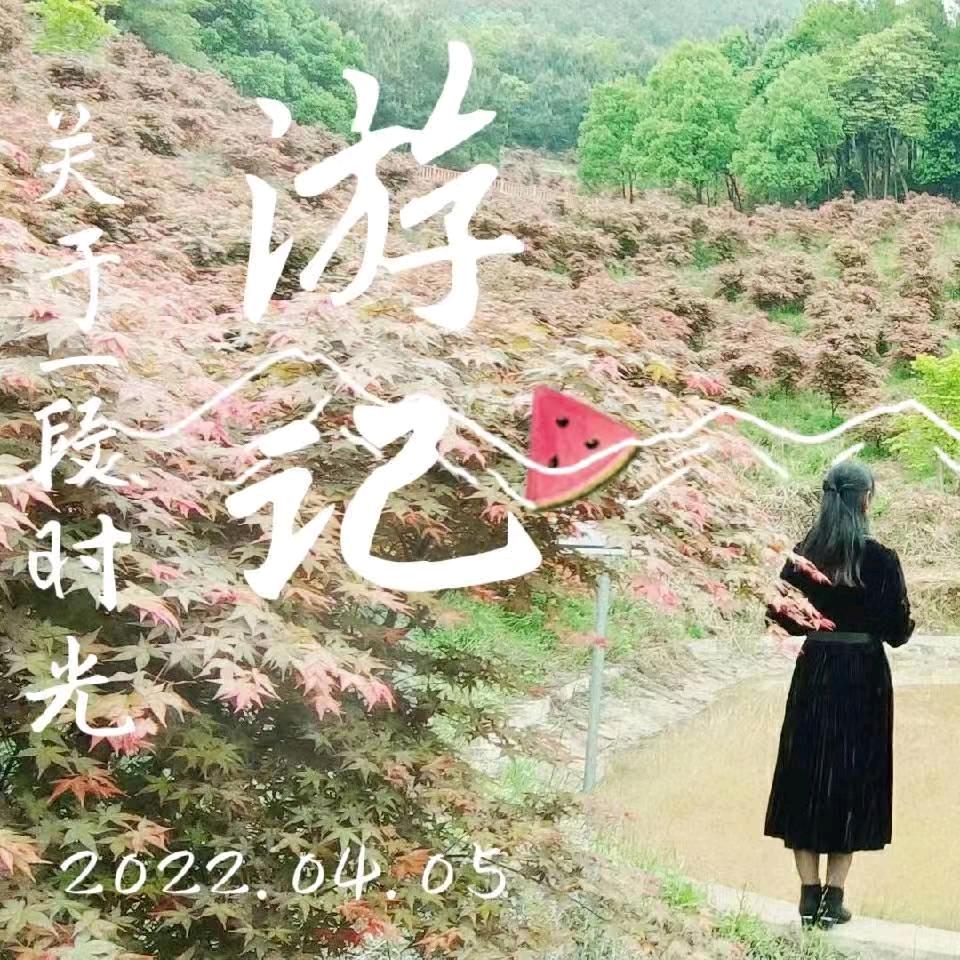 笑看人生，73年的牛牛