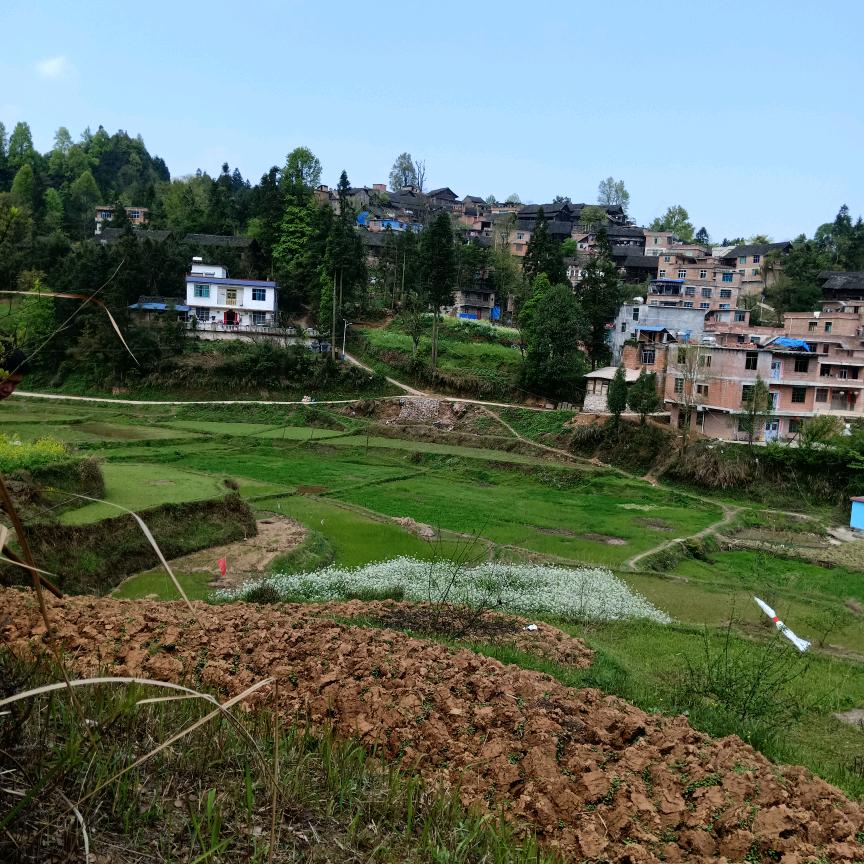 好人一生平安。