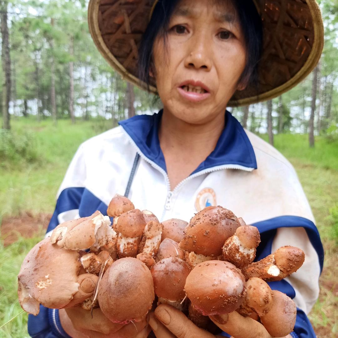 山脚下老李家麦芽糖