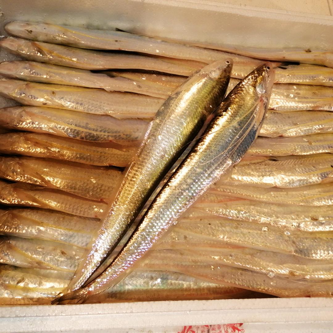 渔浤娘水产