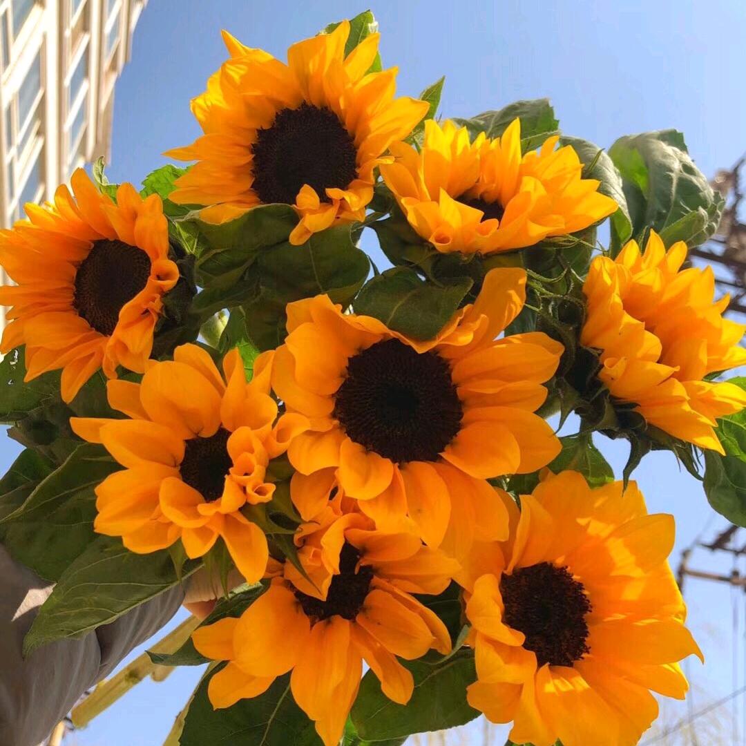 花韵花艺店