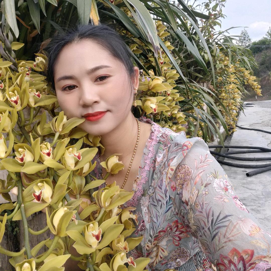 小燕子