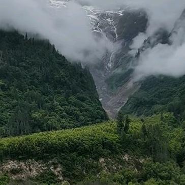 牛仔农家土蜂蜜