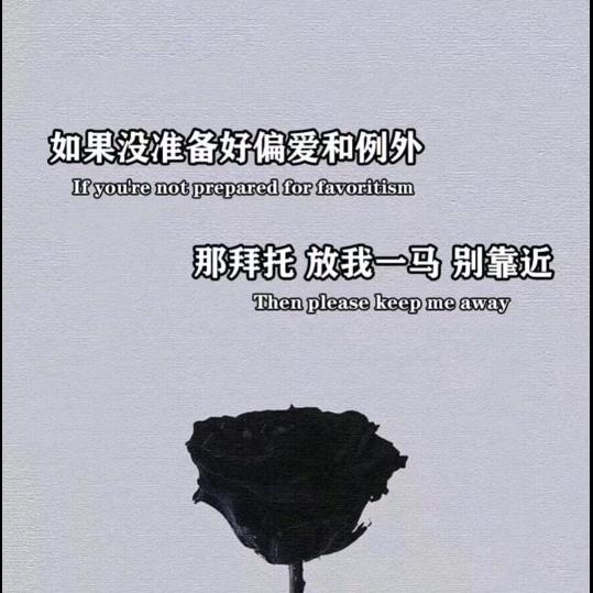 帶刺的玫瑰