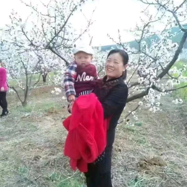 张彩兰