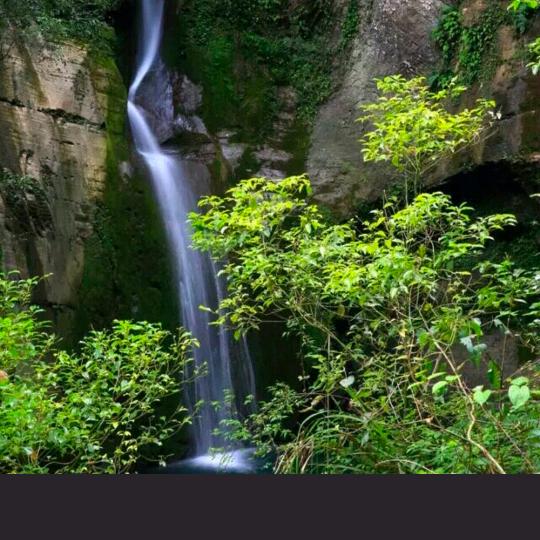 乡里香气