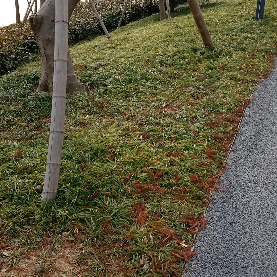 明天重新开始