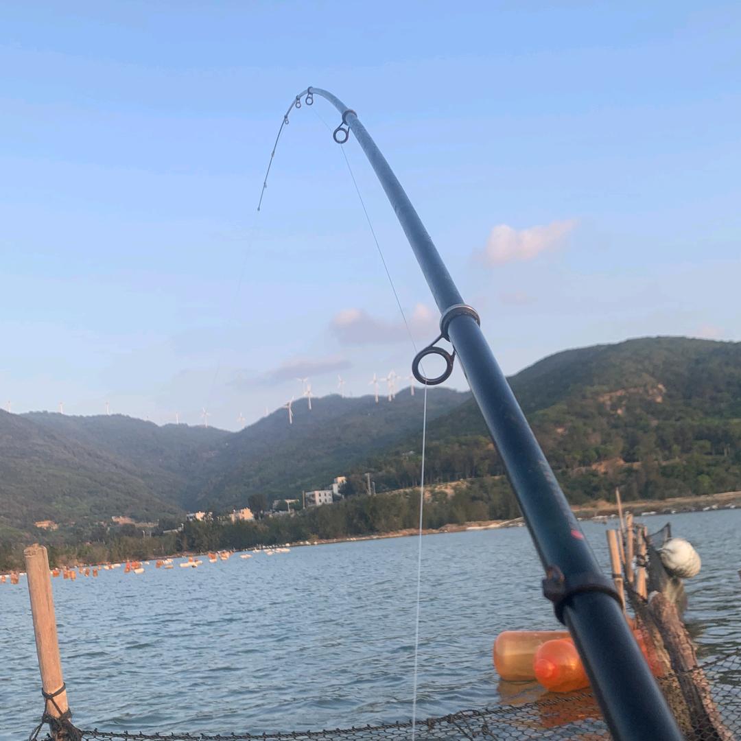 鱿渔库海上游玩