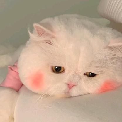 兰如梦
