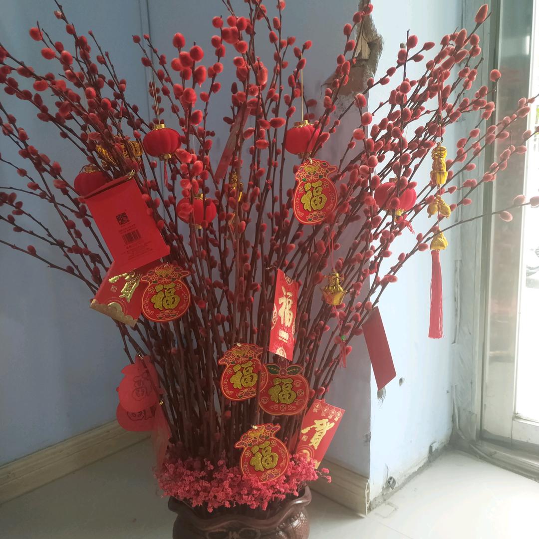 小白