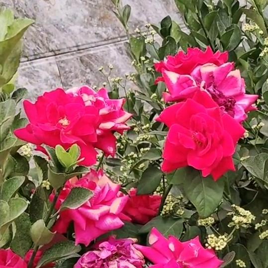 嘻哈寻找2000年5月1曰出生女儿，煊煊