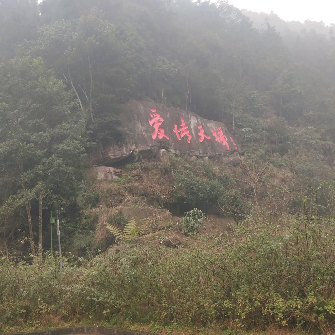 渔翁