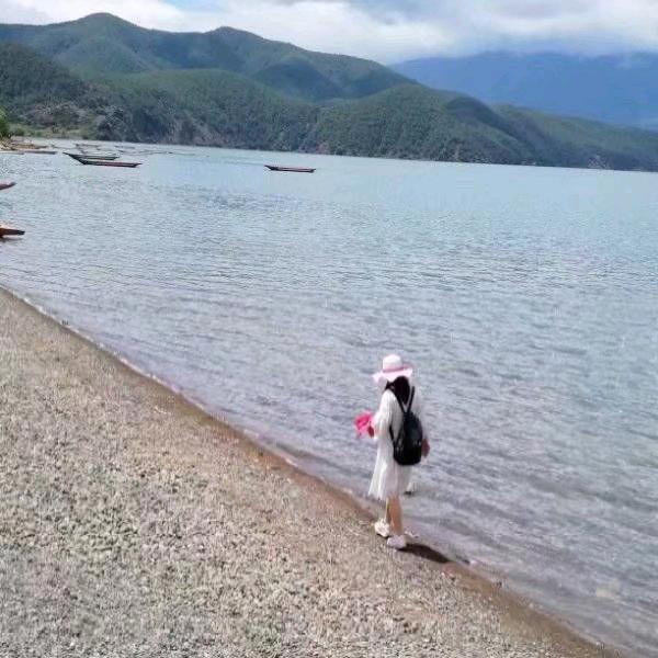 叶子影视