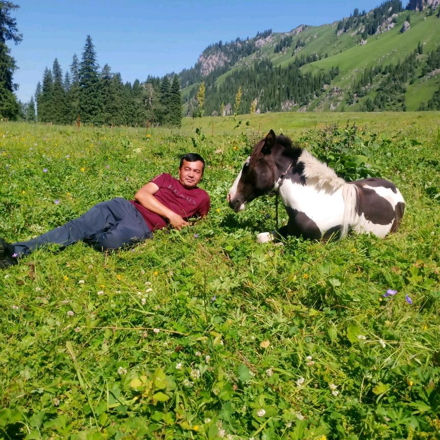 尼加提 «sayahatqi»