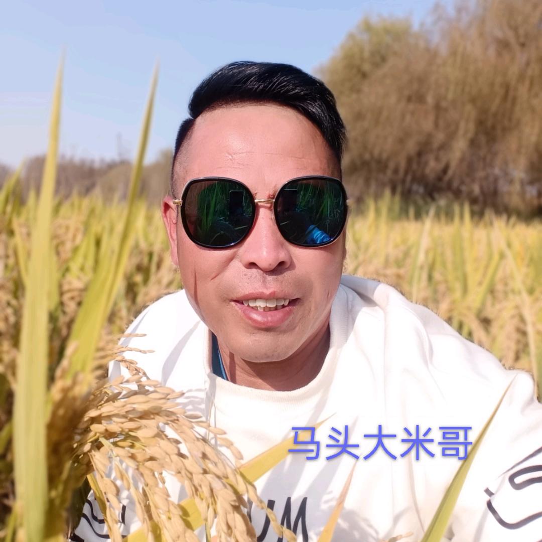 马头大米哥
