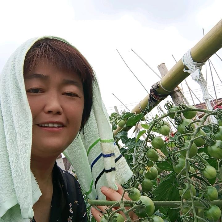 🍀手抓饼阿姨