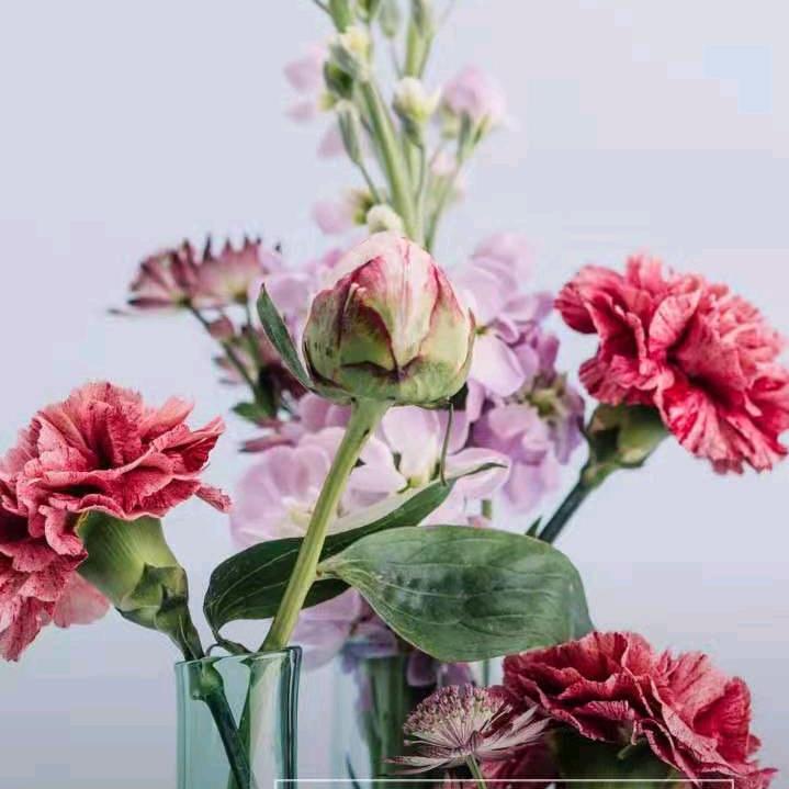 春暖花开。。。