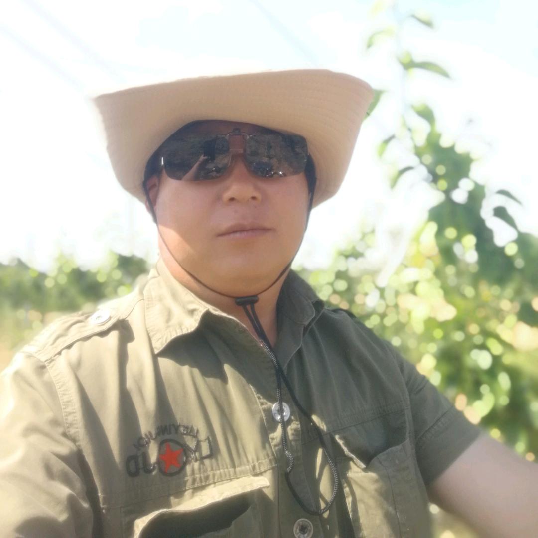 我心飞扬
