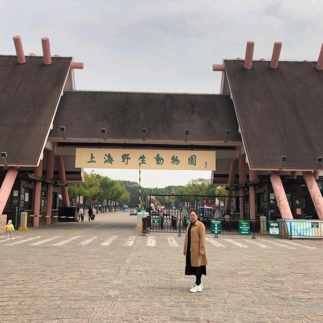 勿忘我