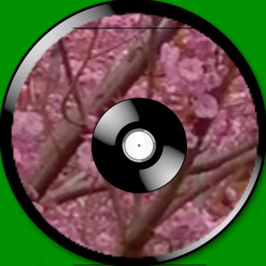 ℋღ᭄温柔且酷🍒᭄💞࿐