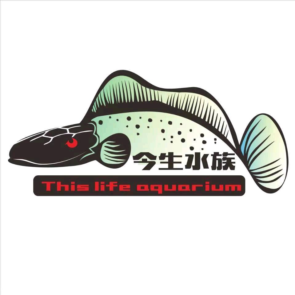 今生水族（观赏鱼）