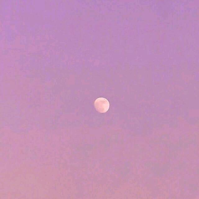玄净