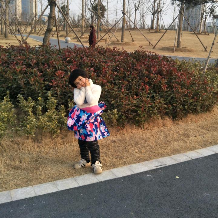 安阳市红双喜门帘磁帘