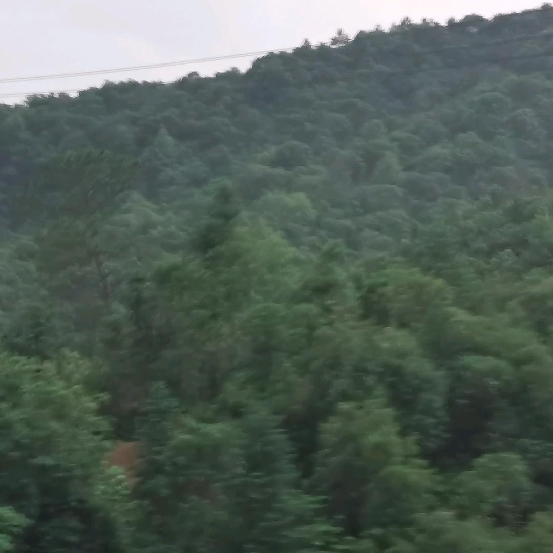 用户1346889653872