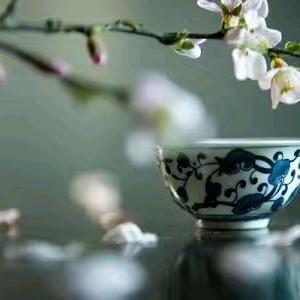 高山流水：衡水升学规划