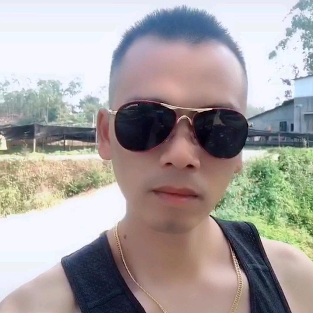 文景苗木，巨桉苗广29批发