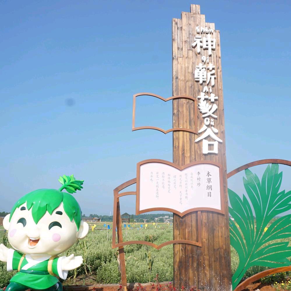 蕲艾飘香