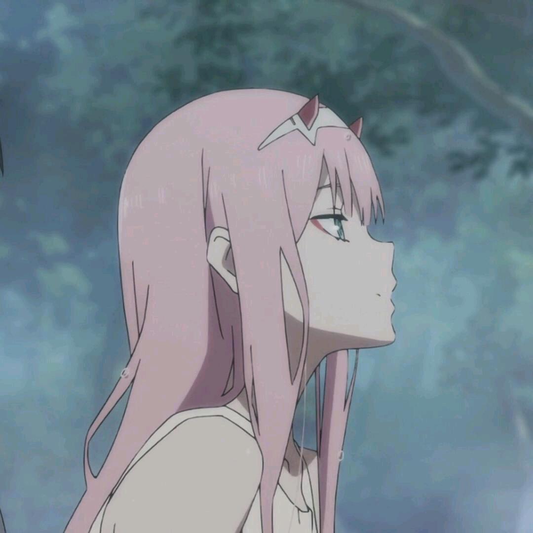 贰嘉叁