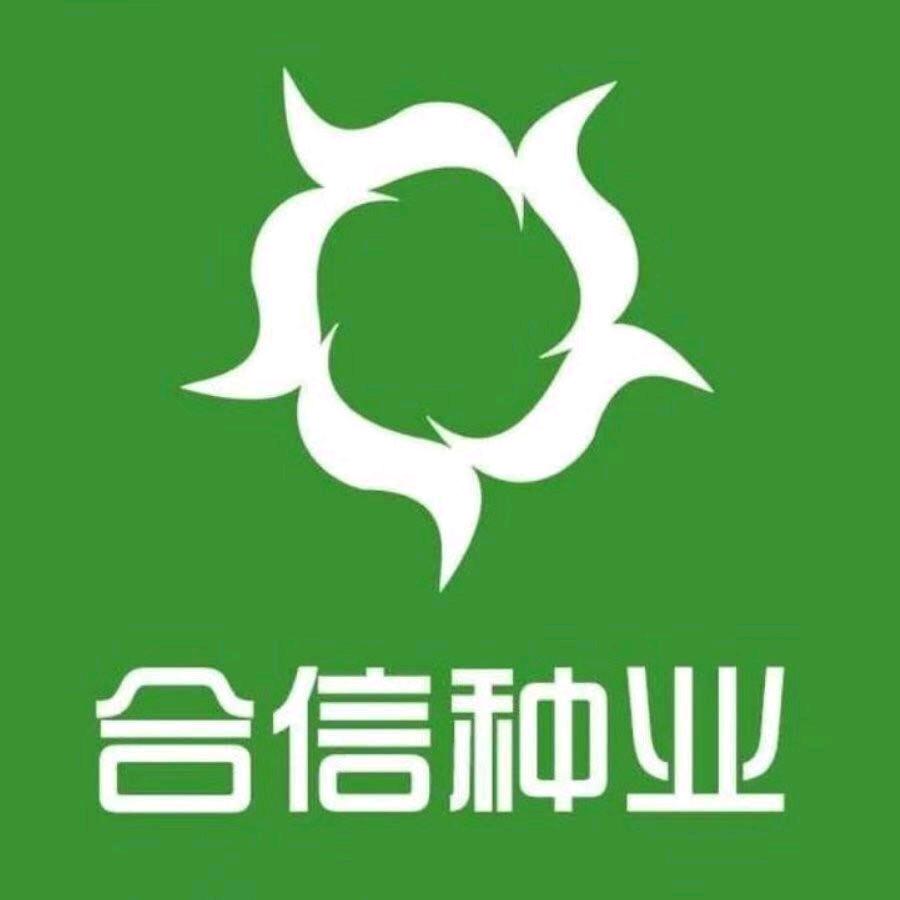 库车合信种业 刘亦鹏