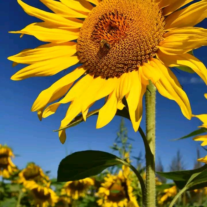 开心过好每一天