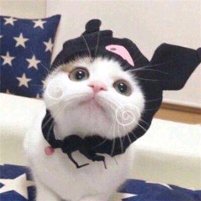 ✨ℒฺℴฺνℯฺ