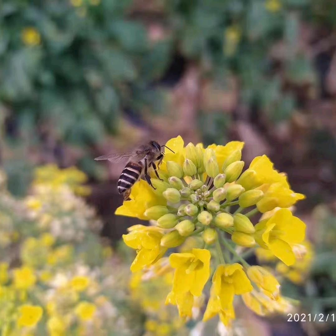 🌈微微一笑🌈