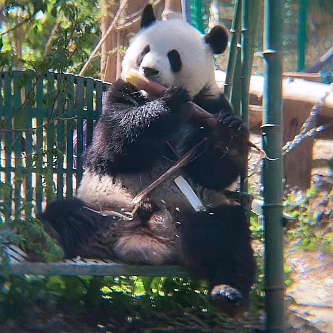 卢视麒言
