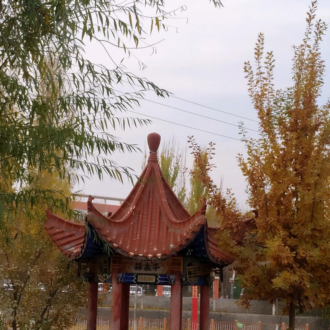 杨杨河北人在新疆