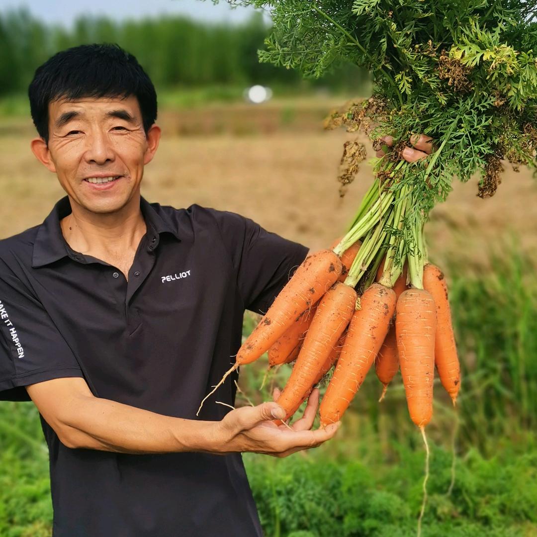 青岛农和蔬菜种子有限公司