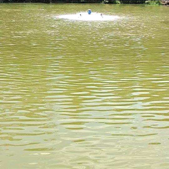 光头强户外