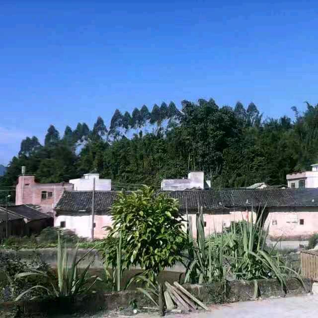 要开心过好每一天哦