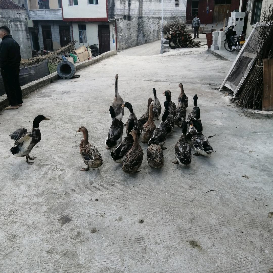 永恒的爱