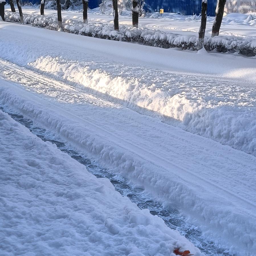 水不在深有龙则灵