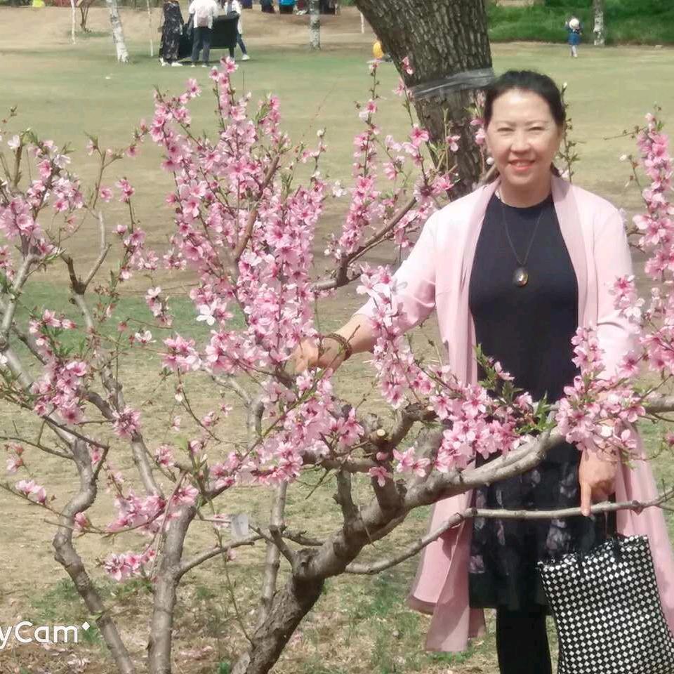 桂芹