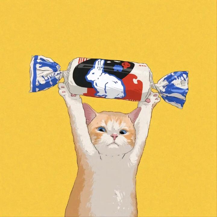 小白