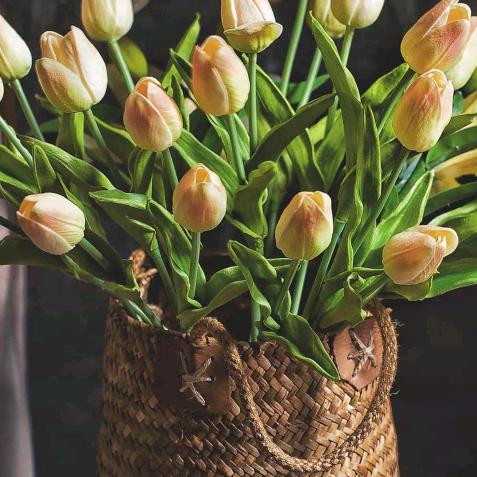 潢川章氏专业修脚按摩抜罐