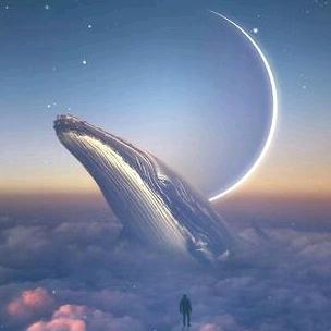 (° ꈊ °)✧˖°哦吼!